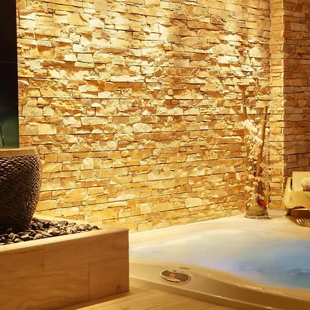فندق Western Premier Le Patio Des Artistes Wellness Jacuzzi كان