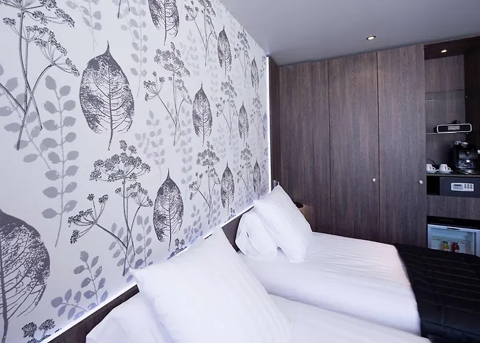Western Premier Le Patio Des Artistes Wellness Jacuzzi 4*